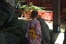 photo11-11
